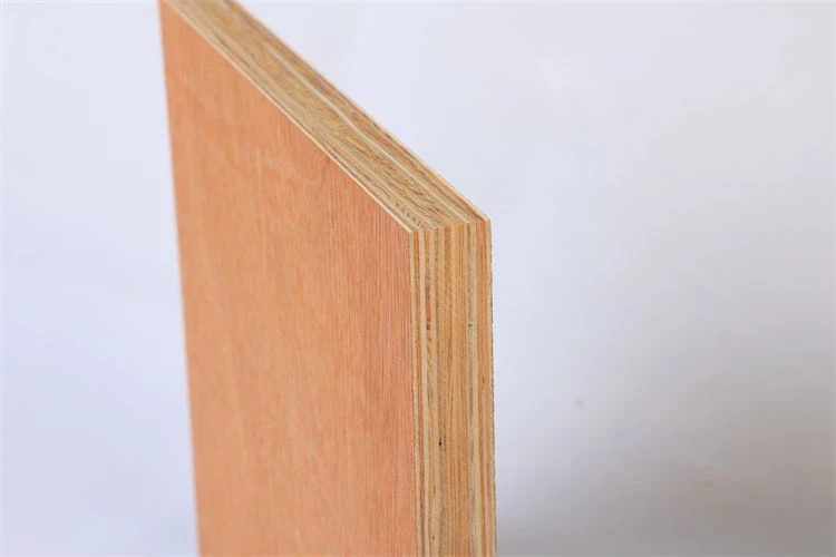 Container Floor Plywood